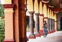 Cheese and Wine Tour